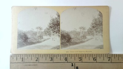 Hamilton Bermuda Highway Road Stereoview Antique c1875 Y17289