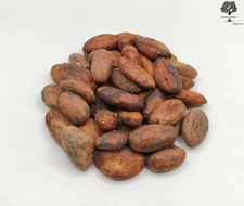 Raw Cacao Beans 85g - 1.95Kg | Theobroma Cacao