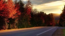 Landscape nature forest red leaves fall road Custom Gaming Mat Desk