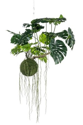 artplants Deko Philodendron Monstera Deliciosa Yunus, Moosball, 80 cm