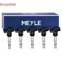 5X Meyle ZüNdspulen FüR Audi A3 Sportback 8VA 8VF RS3 Quattro 8PA TT 8J3 2.5