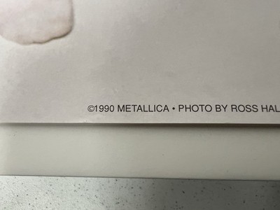 メタリカ llica フォトブック 1990年代 メタリカ llica フォトブック
