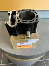 KYMCO MAXXER300 MXU 270/300, MONGOOSE 270/300  ENGINE CYLINDER   12100-LDE9-E00