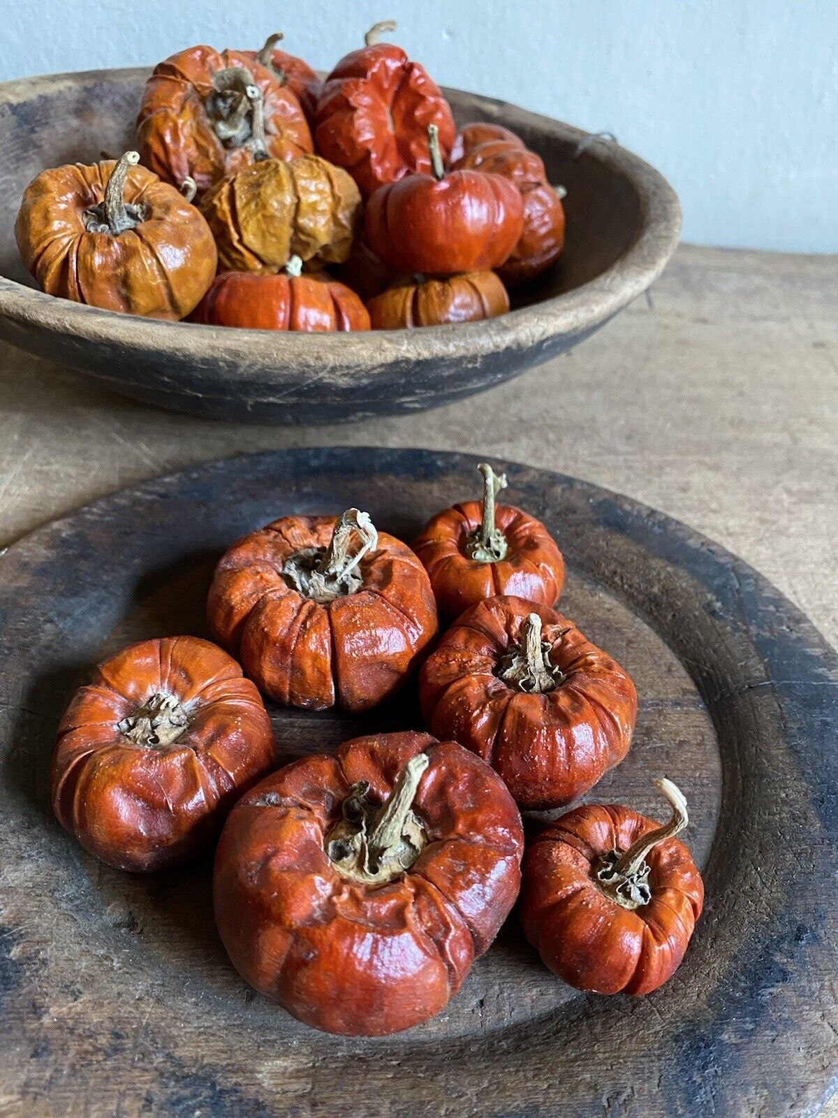 Fully Dried Mini Pumpinos Pumpkin Peppers Fall Orange Vase Filler Decor