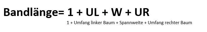 Bild 6 von 6