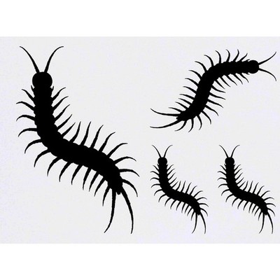 4 x 'Centipede Silhouette' Temporäre Tattoos / Transfers (TO00094884)