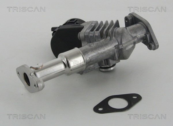 Triscan AGR Ventil 8813 11006 FüR BMW 3Er Touring E91 E90 1Er E81 E92 E87 E93-image
