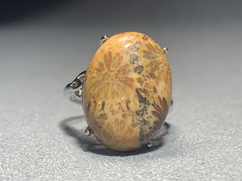 Natural Silicified Coral Fossil Flower Agate Ring/ Adjustable