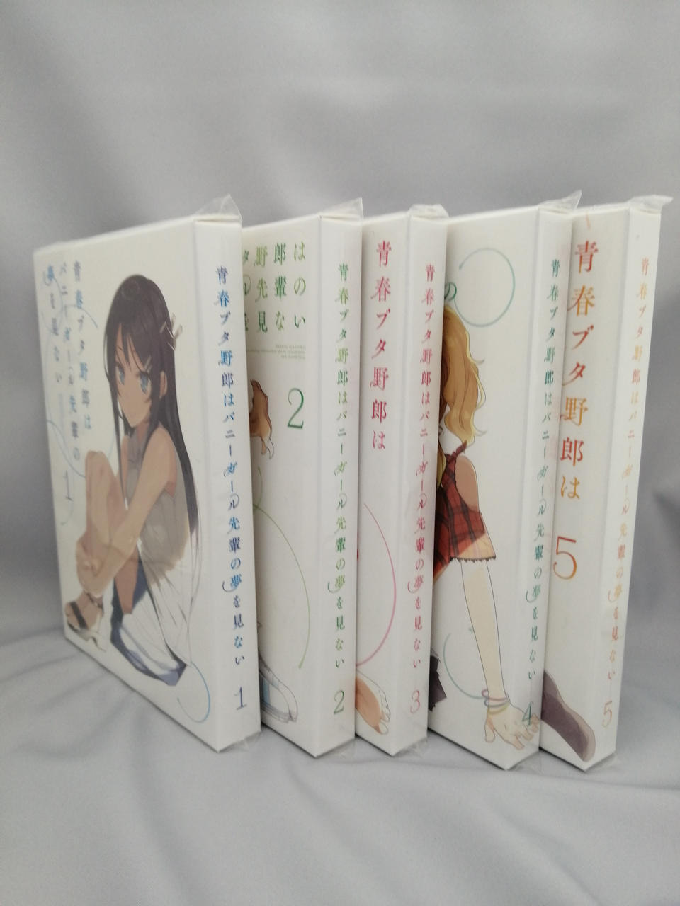 DVD Set Model Number Youth Pig Bastard Doesn t Dream of Bunny Girl