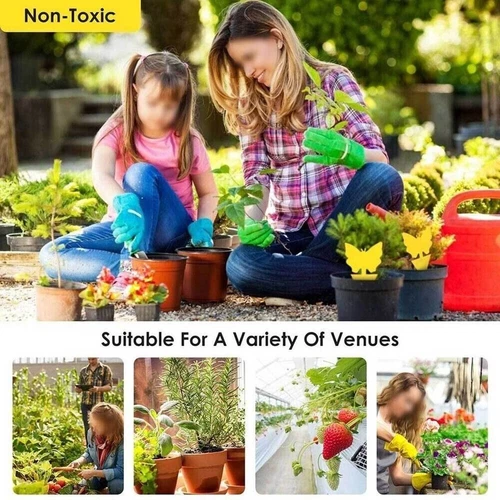 20pcs Sticky Fruit Fly Traps, Fungus Gnat Killer Trap use for Indoor Outdoor - Picture 5 of 23