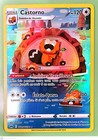 Carte Pokémon Castorno GG25/GG70 Épée & Bouclier Zenith Suprême Français