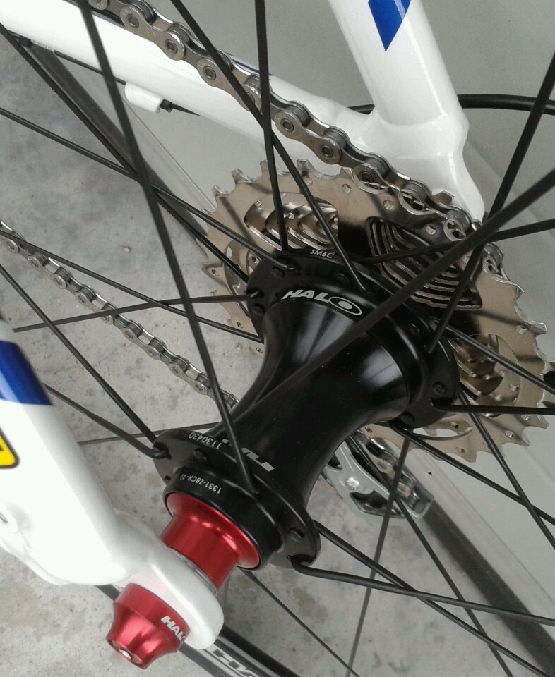 Mountain Bike O Bici Da Corsa: Quale Conviene Davvero Acquistare - Foto 7