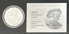 2024-W Burnished American Silver Eagle