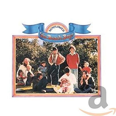 The Beach Boys - Sunflower/Surf's Up - The Beach Boys CD XSVG The Cheap Fast
