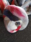 24 Oz Handdyed Cheviot Sheepswool From Spunky Eclectic Fiber Club — photo 9