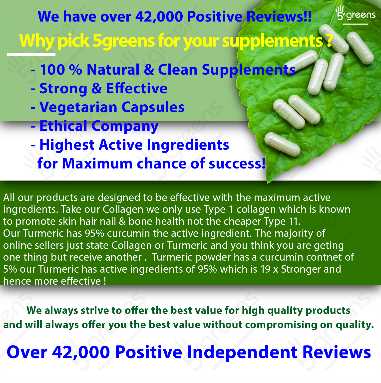 Magnesium L Threonate Capsules 650mg Clean No fillers Pure Magnesium