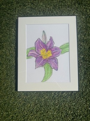 Day Lily- oil pastel drawing