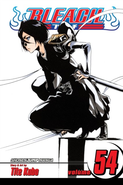 Bleach, Vol. 54 by Tite Kubo (Paperback Book)
