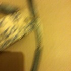 Bild 3 von 9