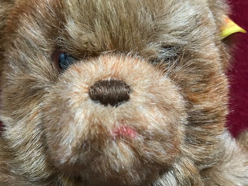 STEIFF: WUNDERSCHÖNE HANDPUPPE TEDDY - TOP - SELTEN! - Bild 6 von 8