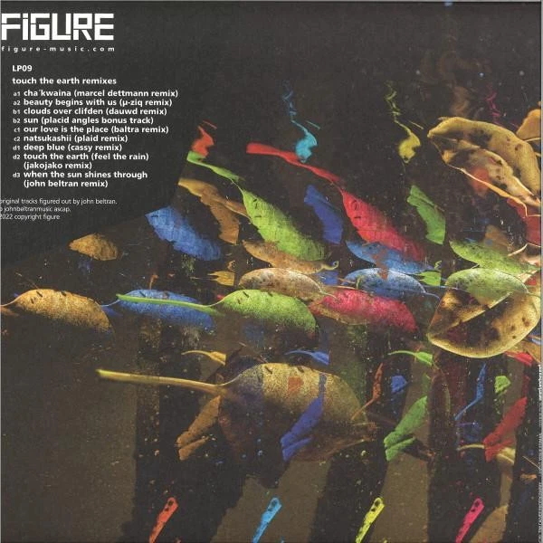 Placid Angles Touch the Earth Remixes double LP vinyl Germany Figure 2022 brand - Image 2 of 2