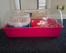 Hamster Standard Plastic Cage Single Tier with Clear Lid & Pink Base