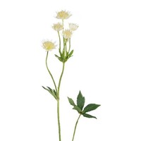 artplants Kunst Zweig Sterndolde Gruhen, Weiß-Creme, 65Cm
