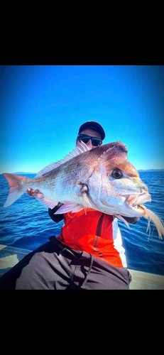 OM Flasher Glow Freaks Bait Jigs - Picture 5 of 32