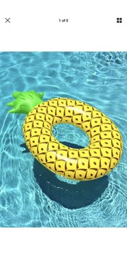 big mouth pineapple pool float