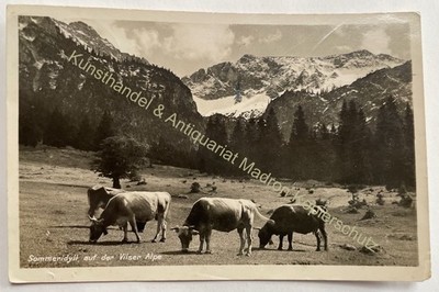 Postcard summer idyll on the Vilser Alpe cows pasture 1936 Austria