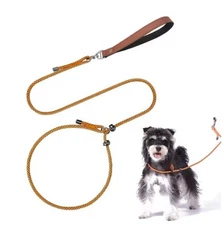 Slip Lead Dog Leash for Puppy Small Dogs Training and Walking Nylon Rope Leash