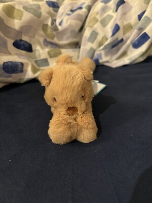 Jellycat - Tiny Smudge Bear - Bär - neu