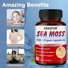 Seaweed Supplement 120 Capsules | Immune Support Healthy Skin Support