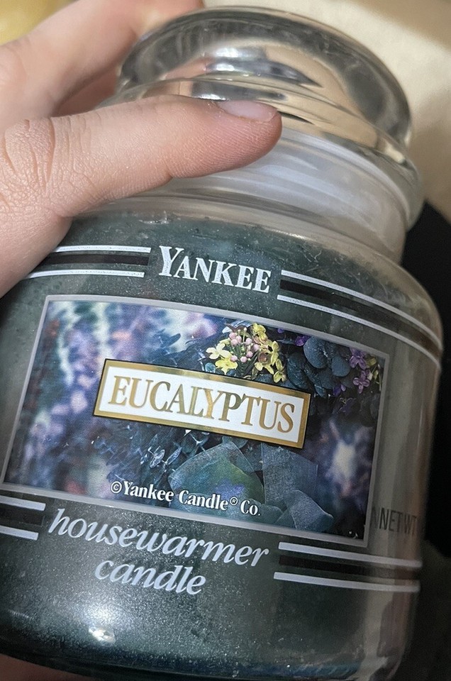 Yankee Candle EUCALYPTUS 14.5 oz. MEDIUM JAR HOLIDAY FAVORITE Single
