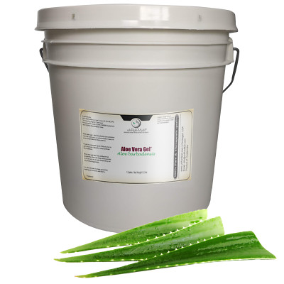 Aloe Vera Gel-Thickened & concentrated-Pure Natural & Undiluted, Guatemala