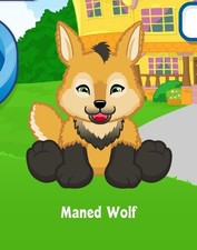 Webkinz Classic Maned Wolf Adoption Code Only Messaged