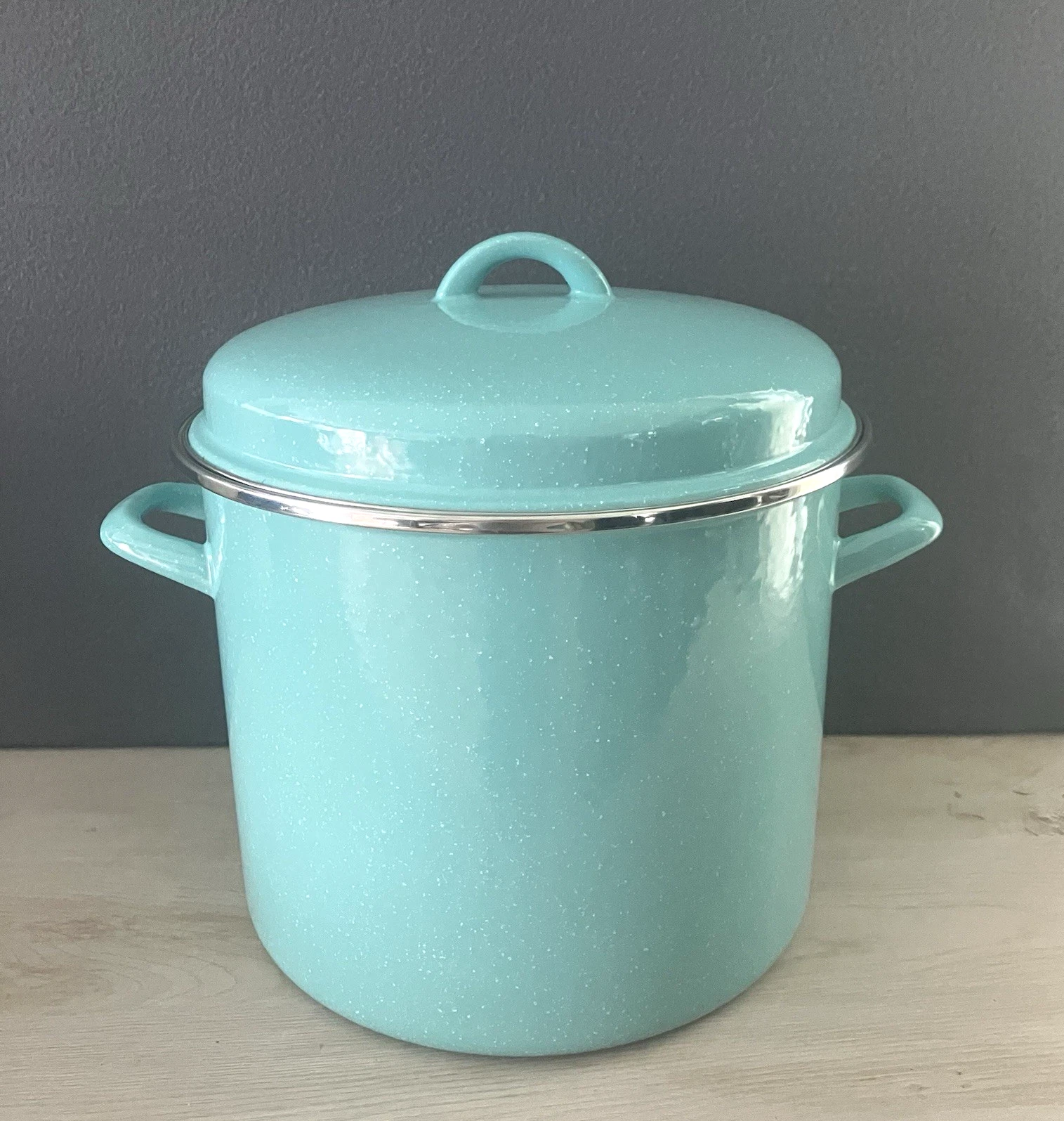 The Pioneer Woman 12-Quart Vintage Speckled Stock Pot In Teal Hollow Side Handle