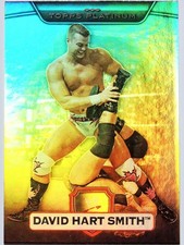 WWE DAVID HART SMITH TOPPS PLATINUM 2010 WRESTLING RAINBOW HOLOFOIL CARD WWF