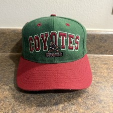 Vintage Phoenix Coyotes 2 Tone Snapback Hat