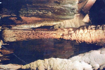 AK Atmosphäre Wasserwelt Naturlandschaft Grundgestein Holzformation AA13752