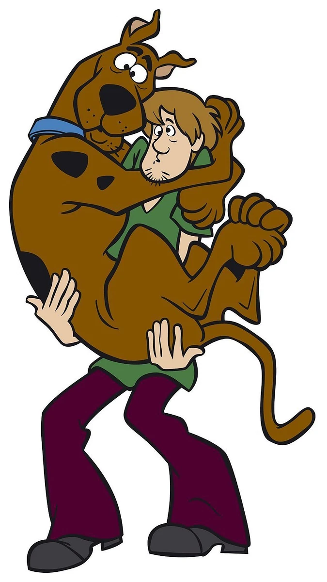 Shaggy and on sale scooby doo