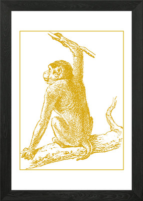 Affe auf Ast - Vintage Illustra gerahmtes Wandbild Poster Leinwanddruck Bild