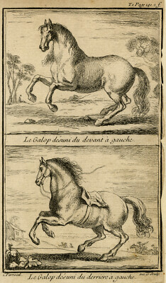 Antiker Druck - LE GALOP DESUNI A GAUCHE - DRESSUR - GUERINIERE - Paket - 1769