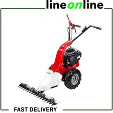 Eurosystem M90 new motor mower with Briggs & Stratton engine