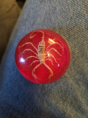 #ad Vintage Scorpion Paperweight Acrylic Dome Encased Red 2.75” X 2.75” Felt Base B7 $10.00