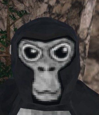 Gorilla Tag Coaching 