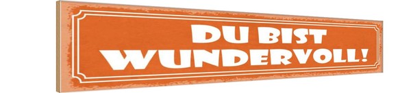 Holzschild 10X46 Cm Du Bist Wundervoll Dekoration Deko Geschenk Holz Schild-image