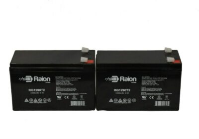 Raion Power 12V 9Ah SLA AGM ML9-12 Battery - 2 Pack