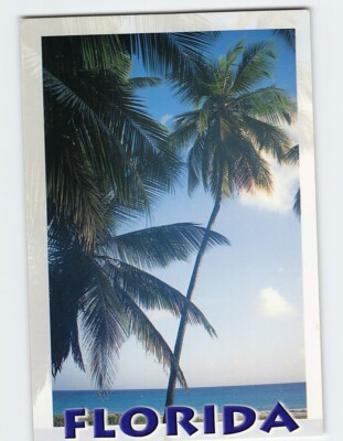 Postcard Just Another Perfect day in Florida USA | eBay