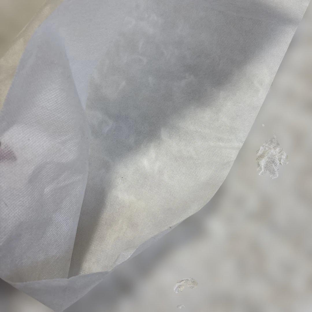 COACH Signature Canvas Python Pouch Mini Bag Bord… - image 14